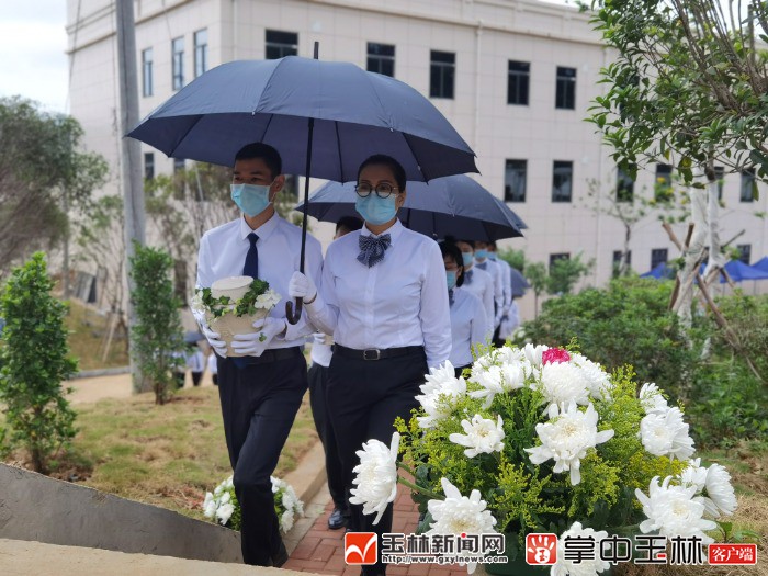 玉州区殡葬事业单位改革动态，改革与进步引领行业新闻