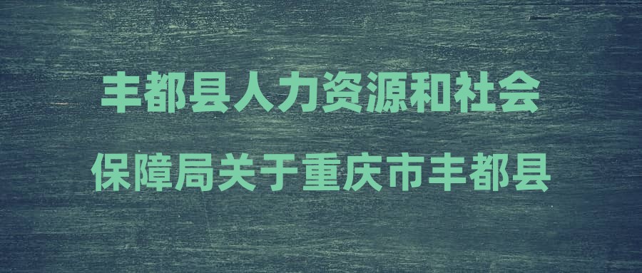 丰都县人力资源和社会保障局最新招聘信息全面解析