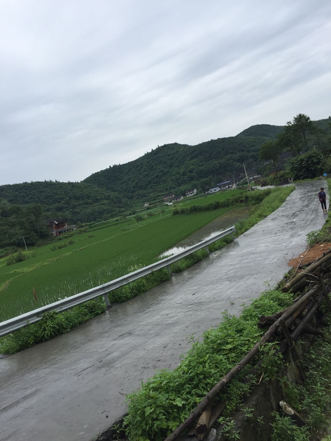 寨沙镇天气预报更新通知