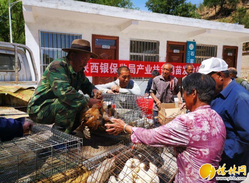 佳县发展和改革局最新动态报道