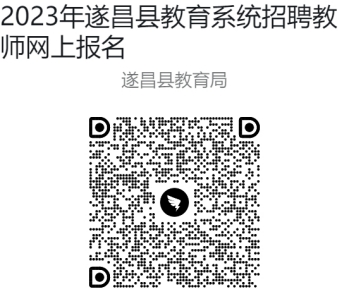 遂昌县统计局最新招聘细节全面解析