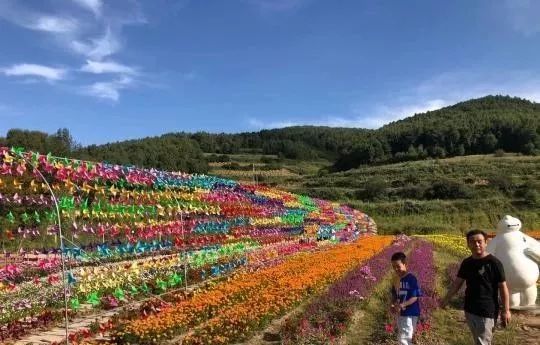 曲奥乡新项目引领乡村发展新征程