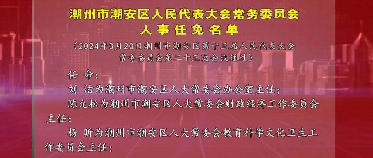 潮安县人民政府办公室人事任命，激发新动能，塑造未来新篇章