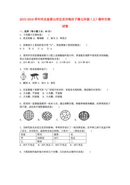 小店镇人事任命揭晓，新篇章正式开启