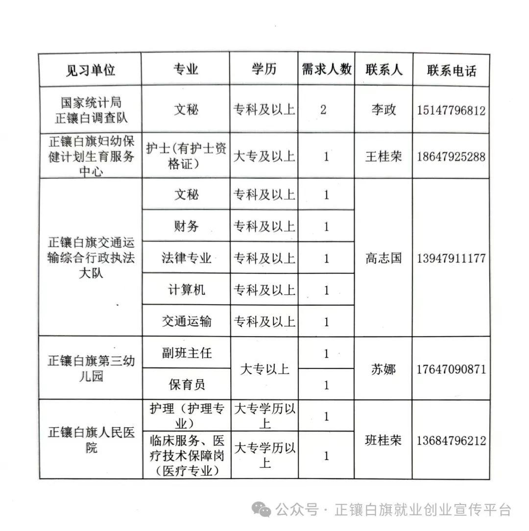 鄂伦春自治旗统计局最新招聘启事