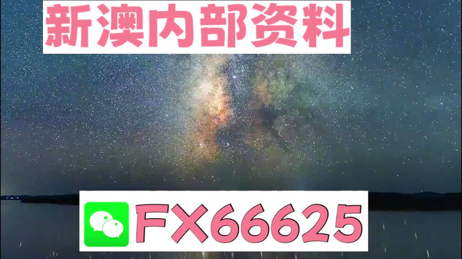 2024新澳天天彩资料大全,经典说明解析_标准版65.328