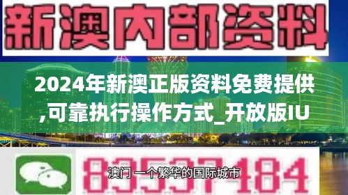 新澳2024年最新版资料,持久性执行策略_S29.163