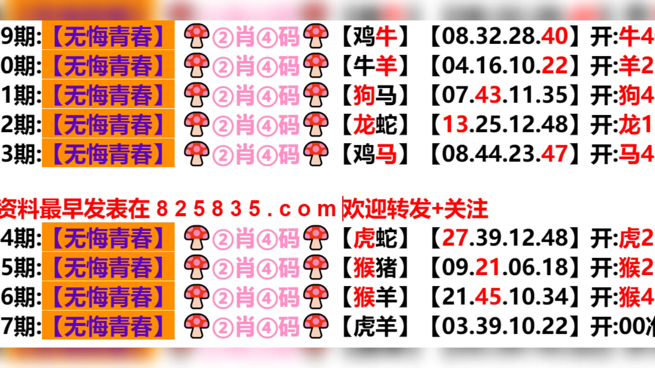 2024新奥历史开奖结果查询澳门六,最佳精选解释落实_标准版78.67