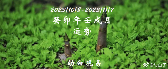 7777788888新版跑狗图解析,实地执行考察方案_苹果版96.722