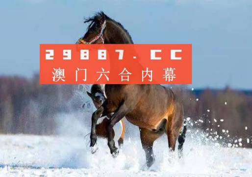 新澳门一码中中特,专业解答解释定义_精英版50.340