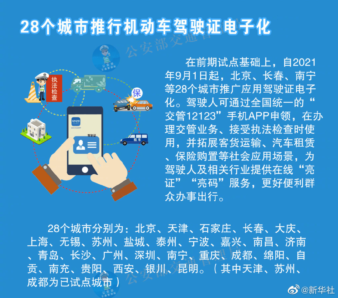 新奥管家婆资料2024年85期,适用性方案解析_战略版24.251