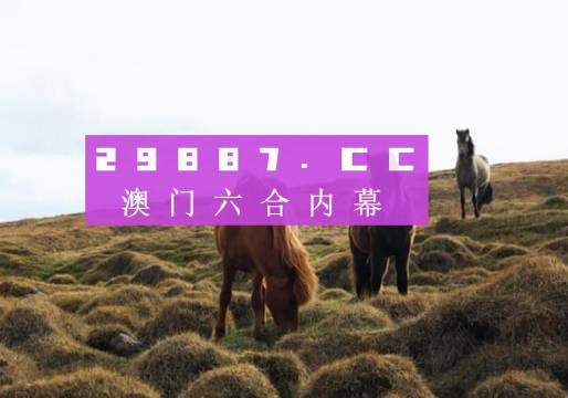 澳门4949开奖现场直播+开,全面分析说明_VIP80.177