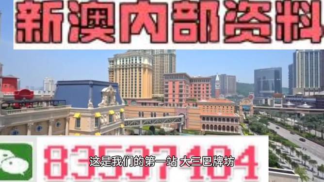 2024新澳门精准免费大全,准确资料解释落实_完整版35.152