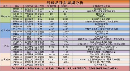 新澳门天天彩2024年全年资料,整体规划执行讲解_限量版31.871