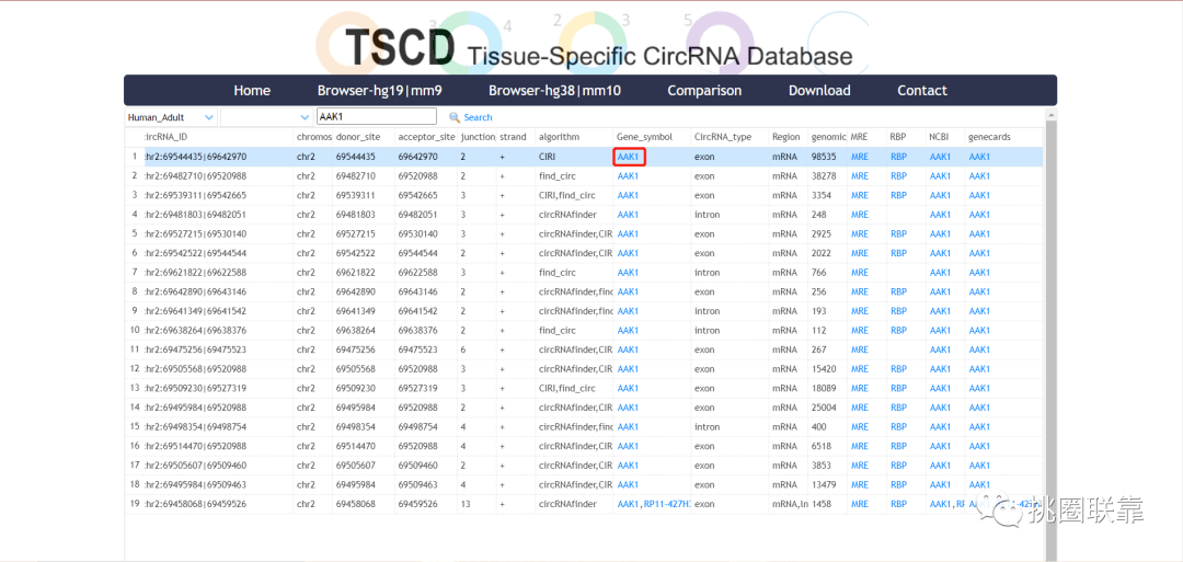 7777788888精准管家婆,经典解释落实_Harmony款17.988