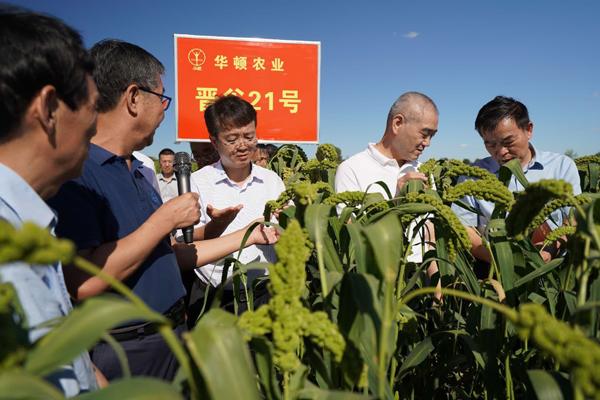 晋中市社会科学院领导团队及最新研究动态概览