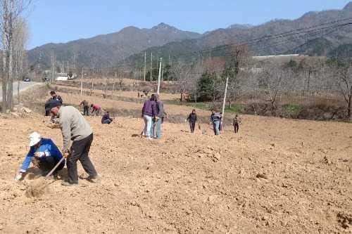 巴巴村新领导引领乡村繁荣新篇章