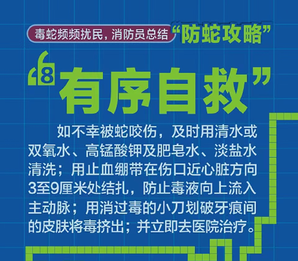 大岭村民委员会最新招聘信息全面解析