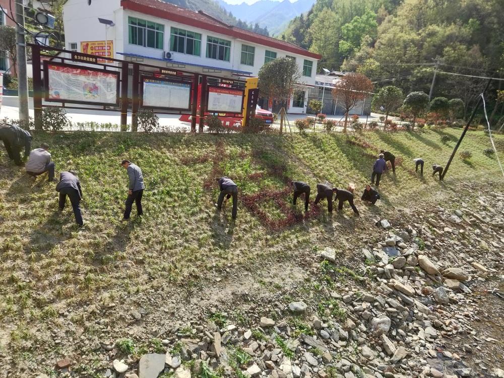 汉阴县卫生健康局最新动态报道