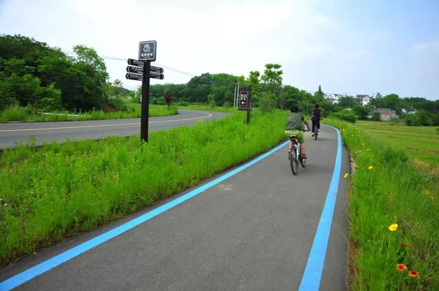 时村营乡最新交通动态报道