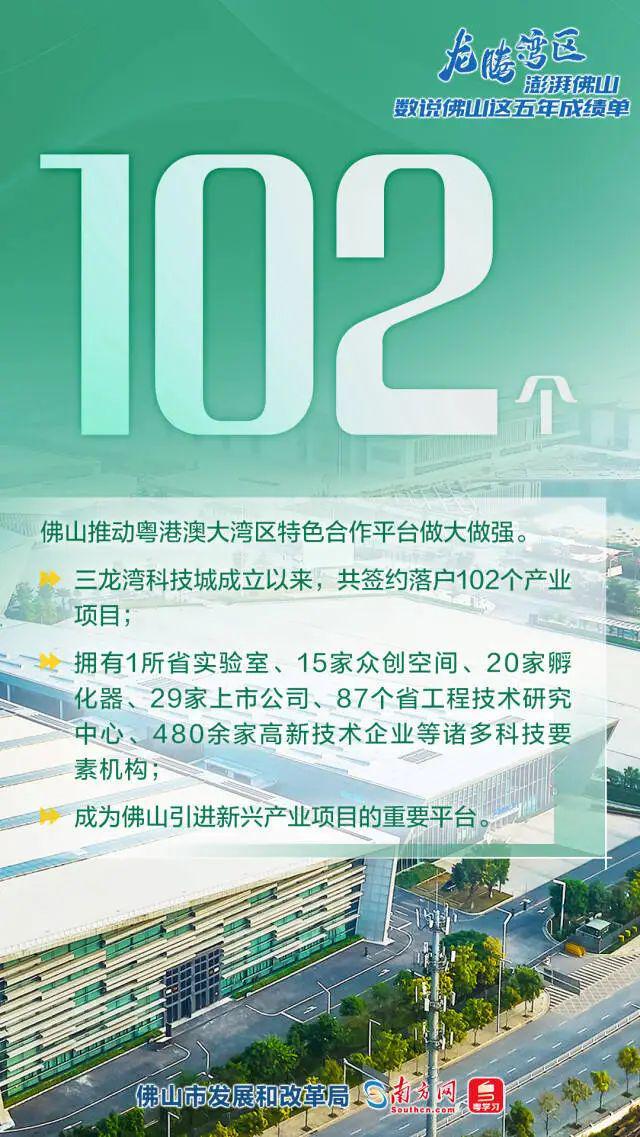 涪陵区发展和改革局最新招聘公告概览