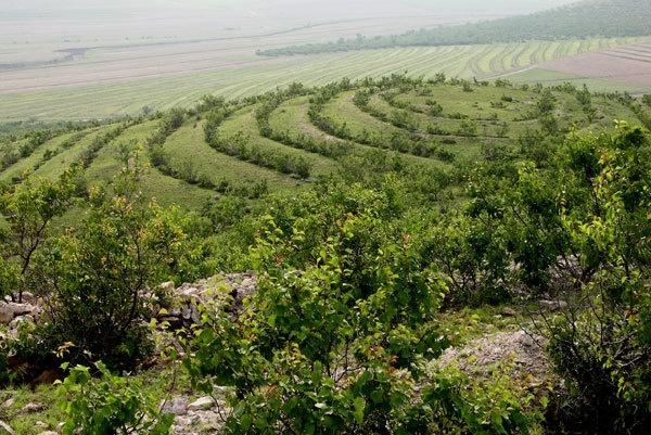 天山口镇最新项目，引领地区发展的区域明珠