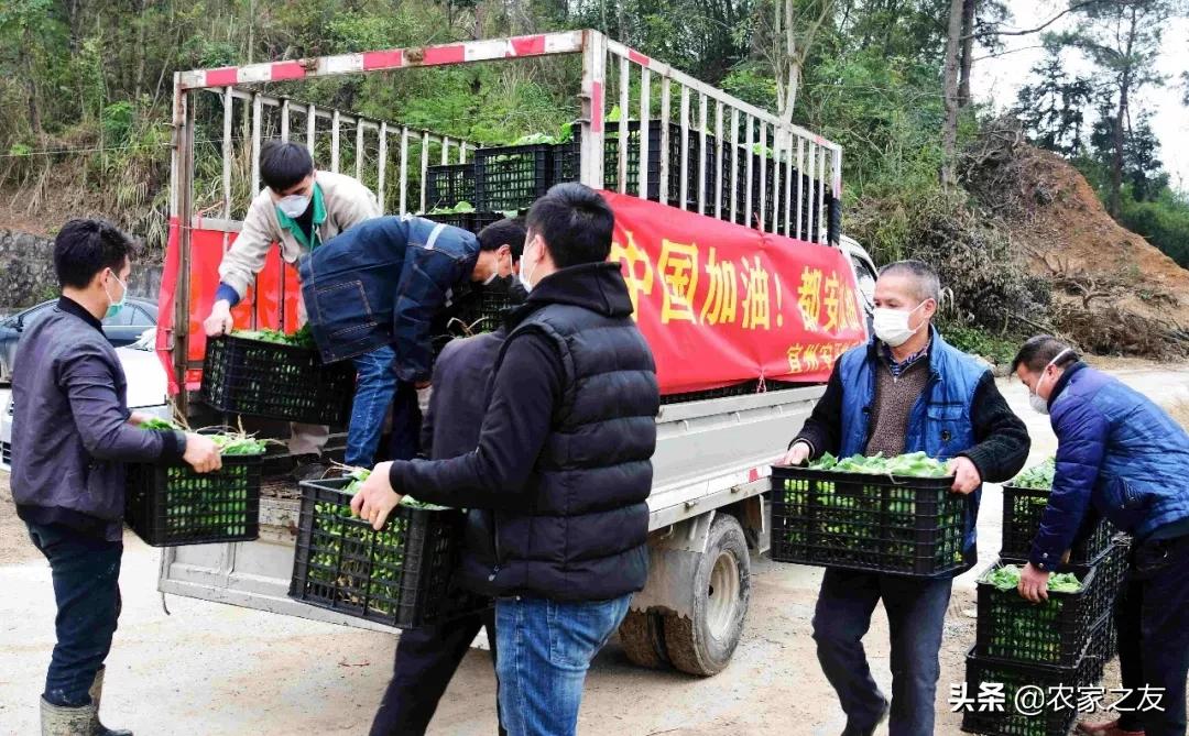 都安乡最新交通动态报道