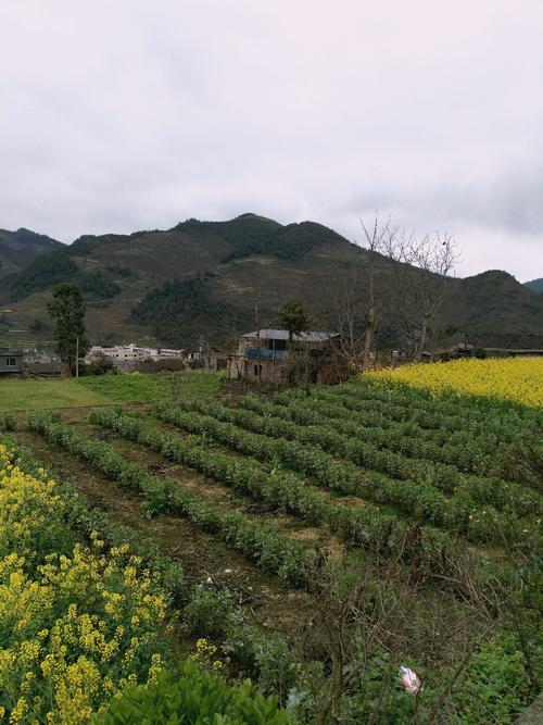 塔峰镇天气预报更新通知