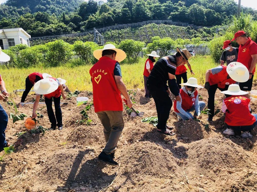 莆田市统计局最新招聘概览