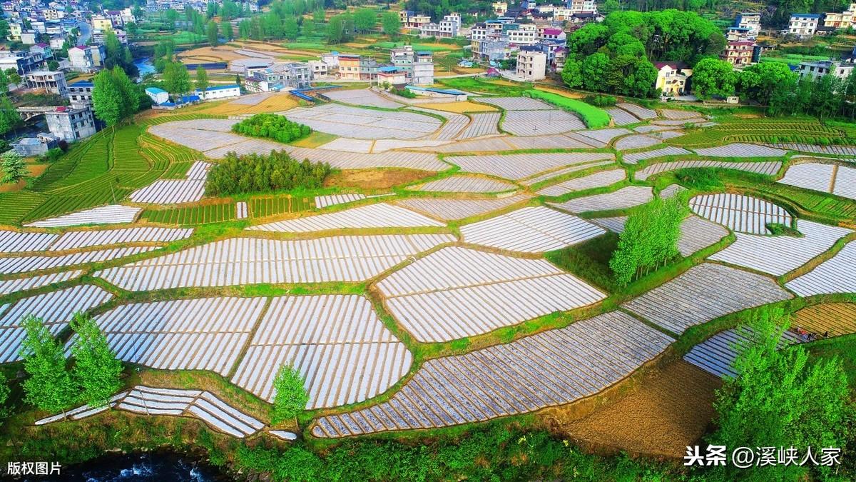 酉阳土家族苗族自治县发展和改革局最新项目概览概览发布