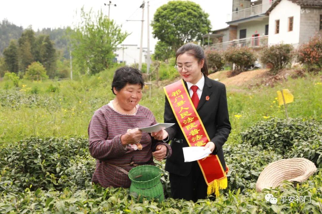 祁门县司法局最新项目，法治精神深度融入实践探索