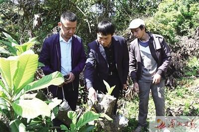 荔城区科技局领导团队最新阵容及前瞻领导展望