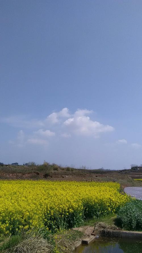 长桂乡天气预报更新通知