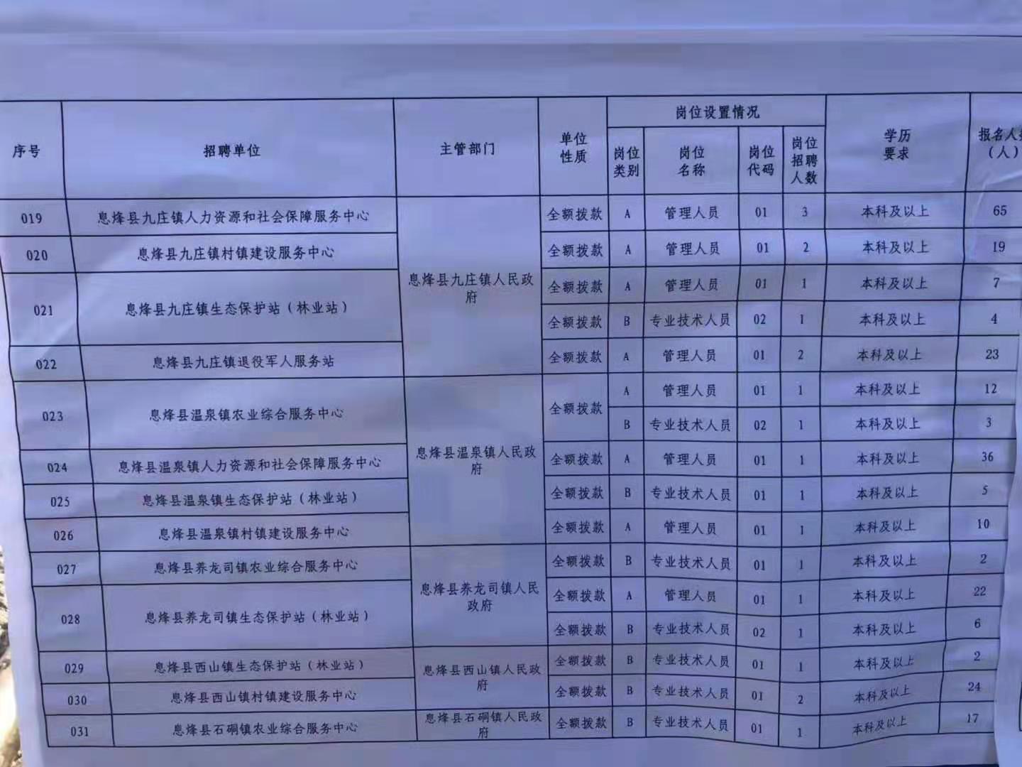 九江县数据和政务服务局招聘公告详解